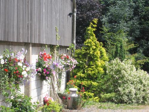 Willow Cottage
