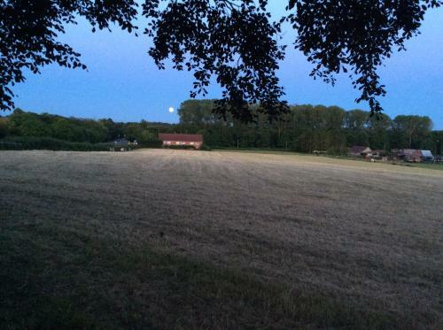 Forest View B&B