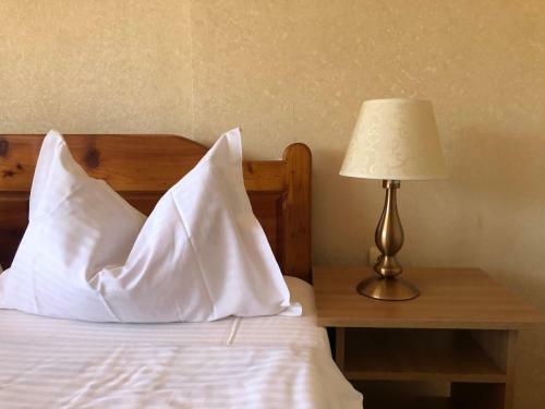 Hostal Pensiunea Vladet Predeal