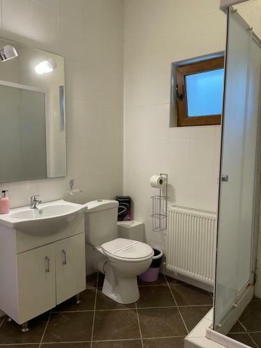 Villa Vila 5 Predeal