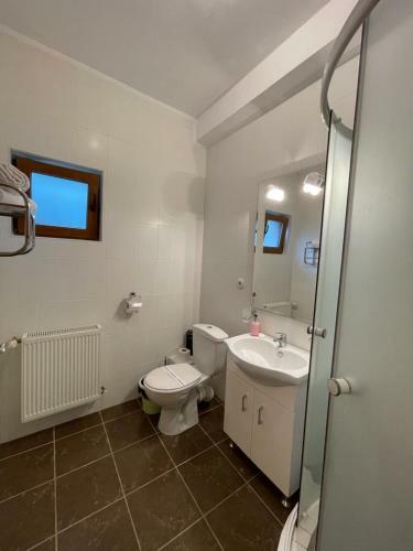 Villa Vila 5 Predeal