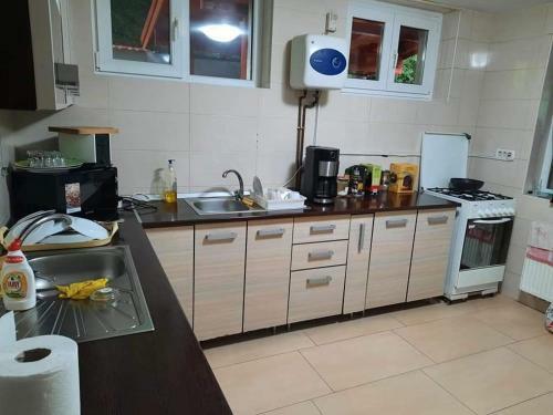 Hostal Vila Visinica