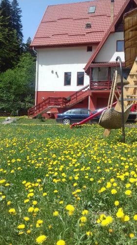 Hostal Vila Visinica