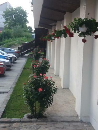 Hostal Pensiunea Medieval