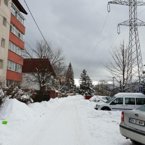 One Apartment