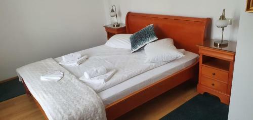 Hostal Pensiunea Alpin