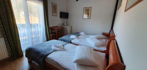 Hostal Pensiunea Alpin