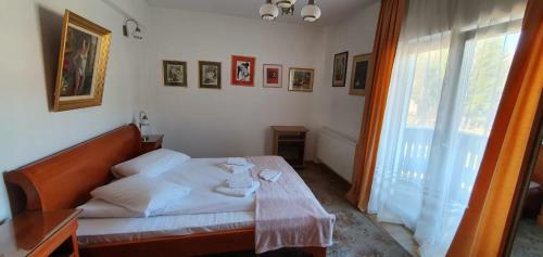 Hostal Pensiunea Alpin