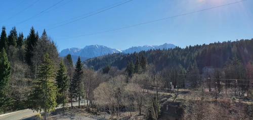 Hostal Pensiunea Alpin