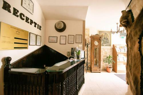 Hostal Pensiunea Alpin
