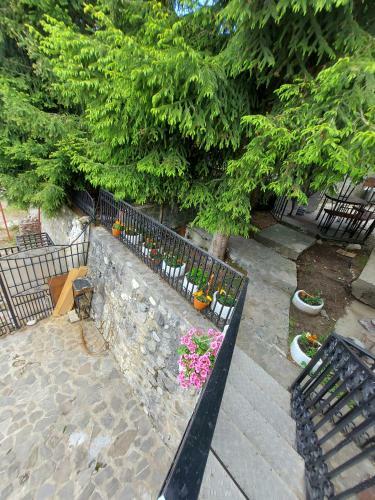 Hostal Vila Mountainview