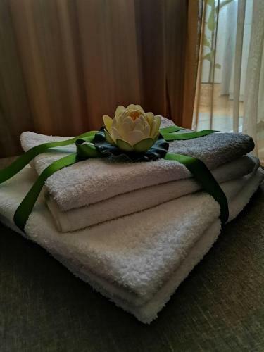 Apartament Eagle