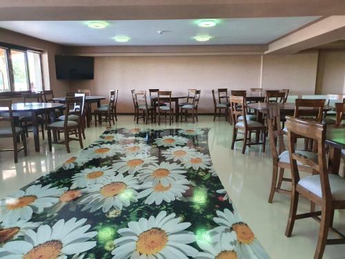 Hostal Rai Romanesc