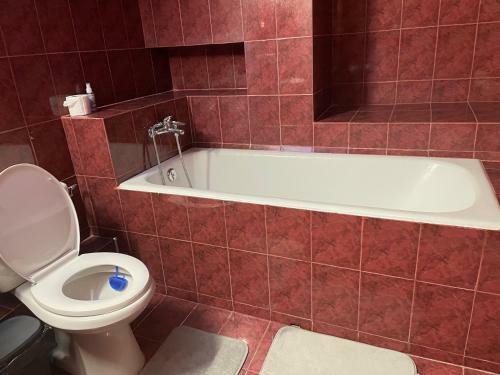 Apartamento Vilele Coltii Morarului