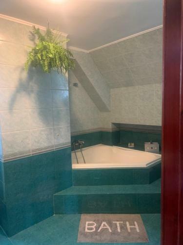 Apartamento Vilele Coltii Morarului
