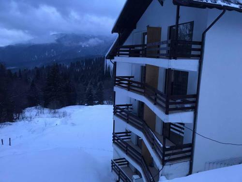 Apartamento Studio 16 Predeal