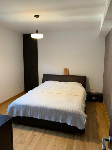 Apartamento Cioplea View