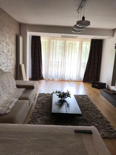 Apartamento Cioplea View