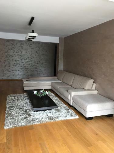 Apartamento Cioplea View