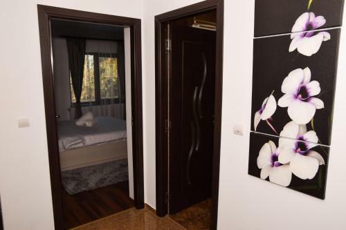 Transylvania Apartment 5