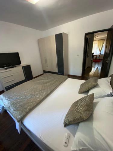 Transylvania Apartment 5
