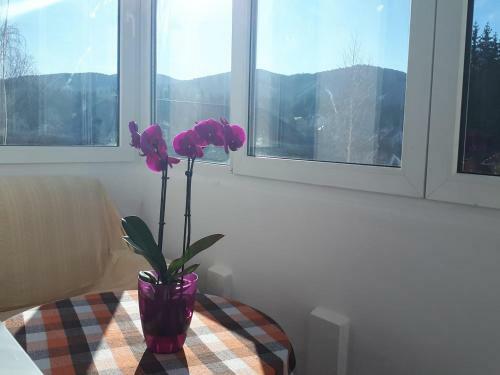 Apartamento Central Predeal