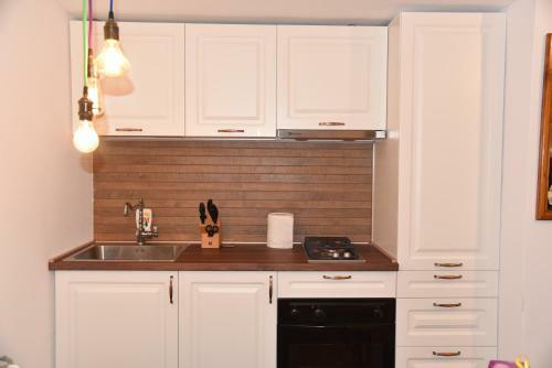 Apartamentul Ursilor