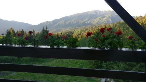 Apartamento Nature House Predeal