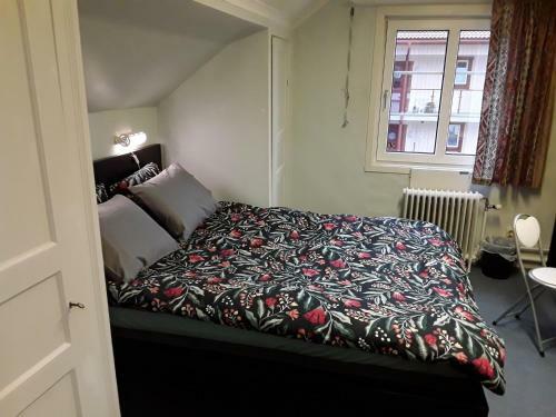 Albergue Knihsg�rden