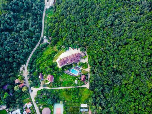 Hotel Pension Casa Cu Tei