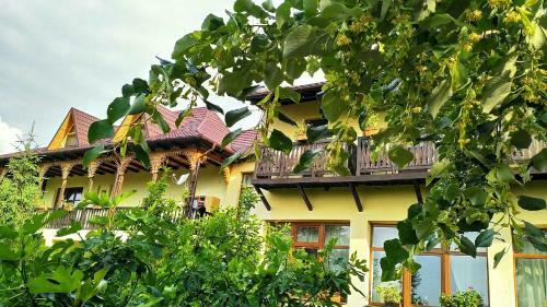 Hotel Pension Casa Cu Tei