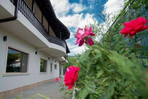 Hostal Pensiunea Duet