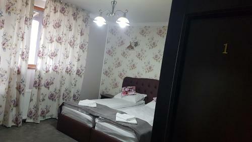 Hostal Pensiunea Duet