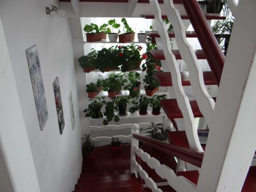 Apartament Casa Teo