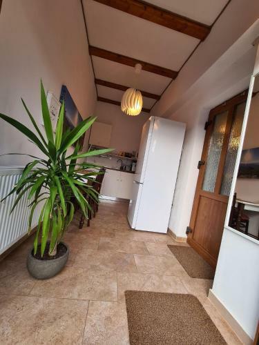 Hostal Flori Haus Saschiz