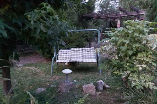 Vila Primitoare Cu Piscina Pentru Gasca Mare