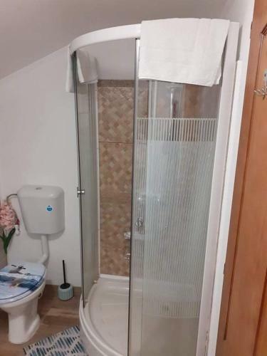 Hostal Pensiunea Floarea Dornei