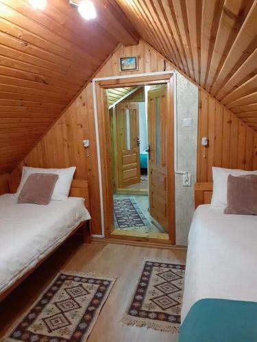Hostal Pensiunea Floarea Dornei