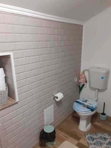 Hostal Pensiunea Floarea Dornei