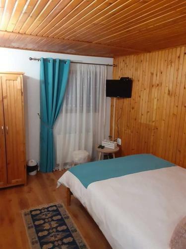 Hostal Pensiunea Floarea Dornei