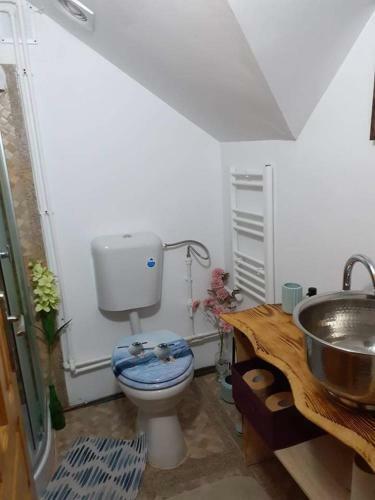 Hostal Pensiunea Floarea Dornei