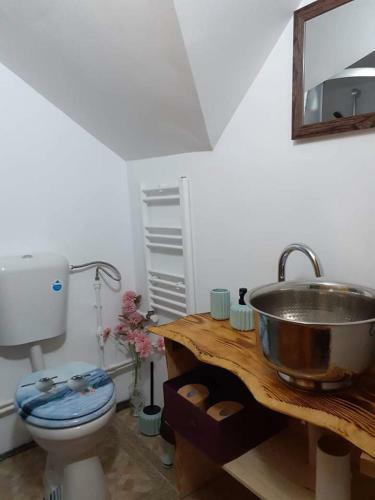 Hostal Pensiunea Floarea Dornei