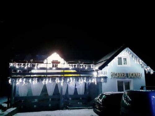 Hostal Pensiunea Floarea Dornei