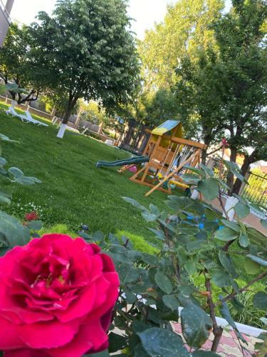 Hostal Vila Bry-cas Costinesti