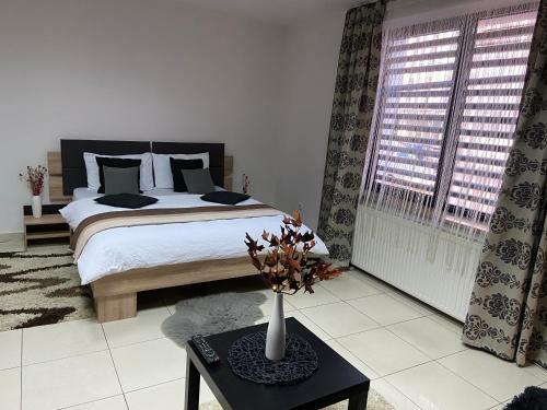 Aqua Apartman Satu Mare