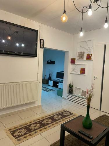 Aqua Apartman Satu Mare