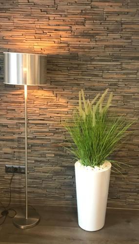 Sole Apartment 1