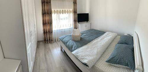 Apartament 23