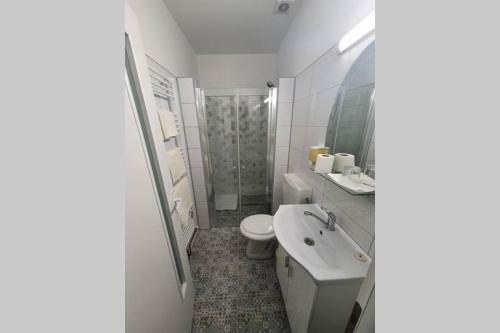 Casa Frizerului Aparthotel- Pets Allowed