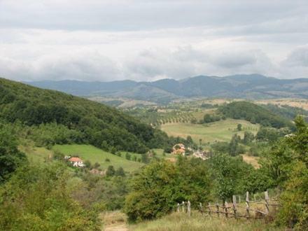 Hostal Casuta De La Munte